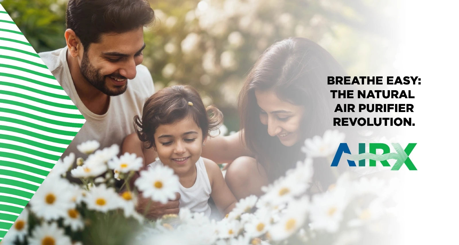 Breathe Easy With AirX: The Natural Air Purifier Revolution