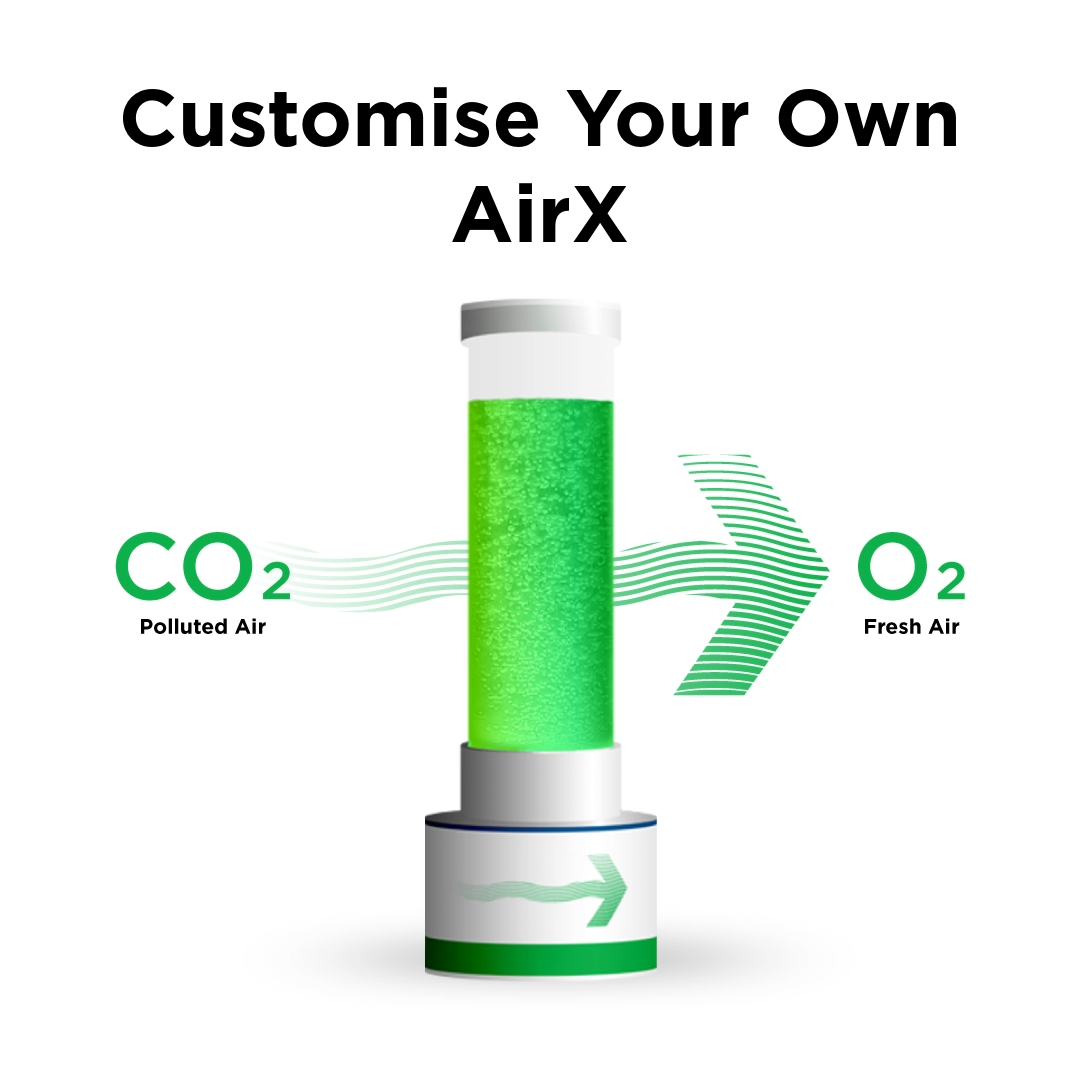 AirX Custom